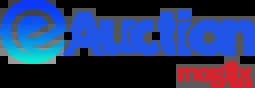 E-auction Logo image